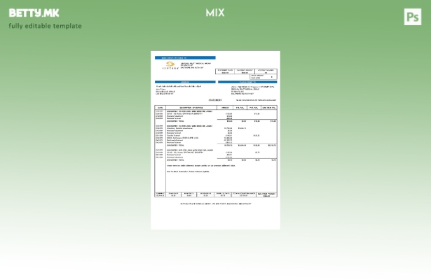 Модерен стил на USA Sentara Pratt Medical Group шаблон за изводи за наплата